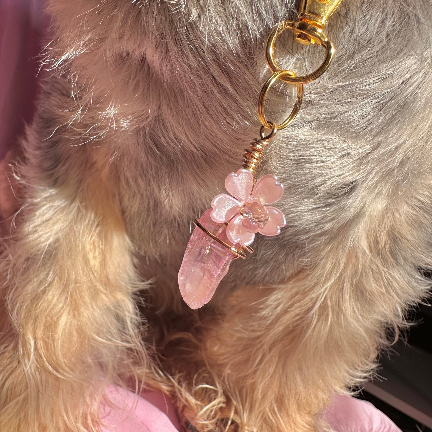 Crystal Pet Collar Charm | Pet Accessories