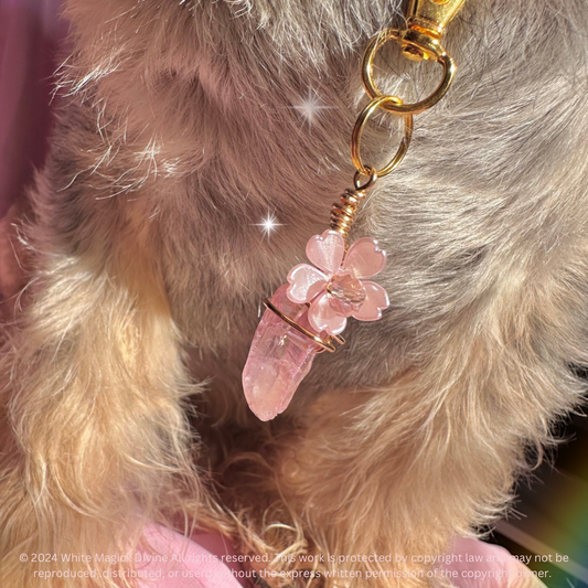 Crystal Pet Collar Charm | Pet Accessories