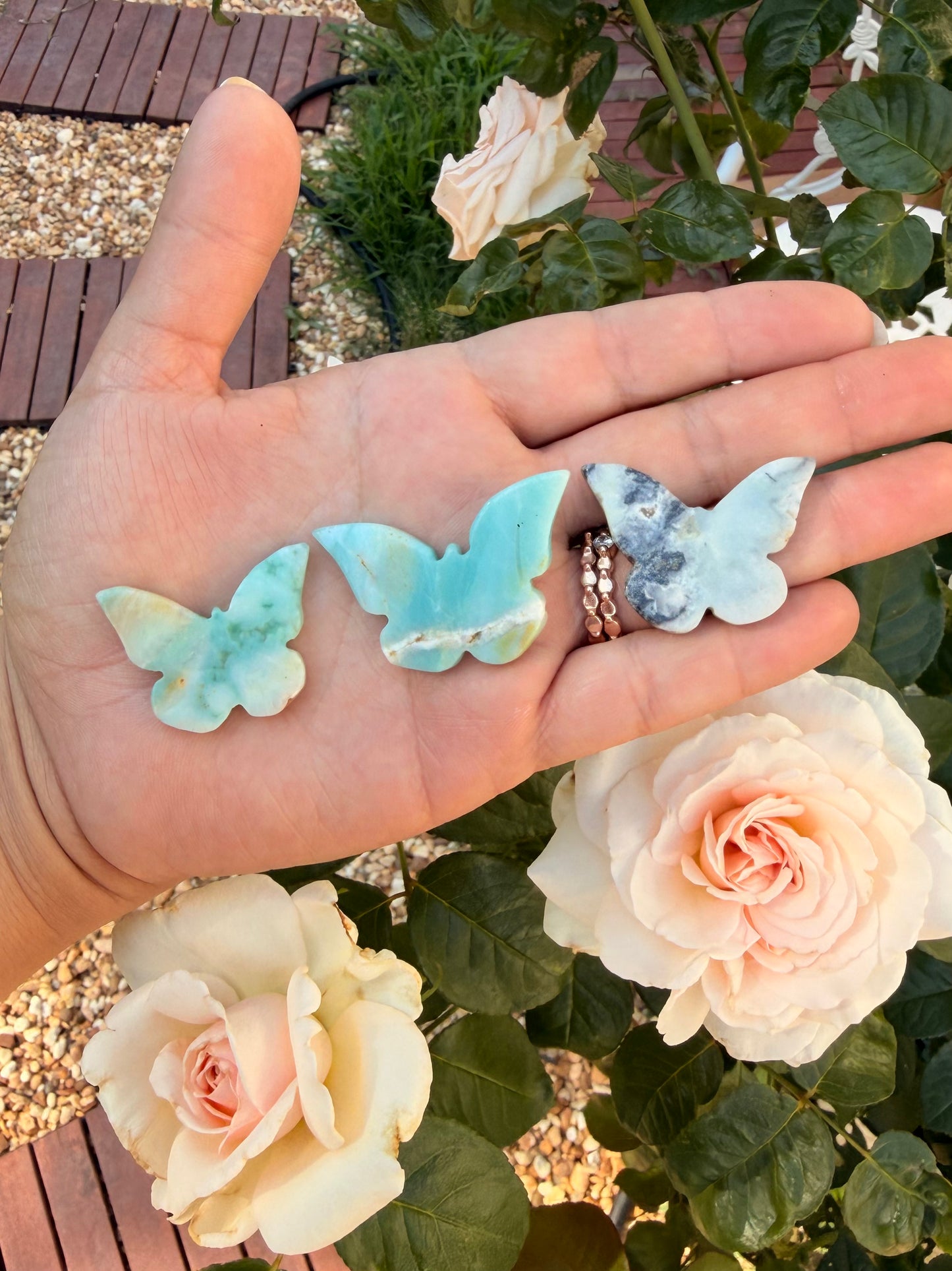Amazonite Butterly Cabochon