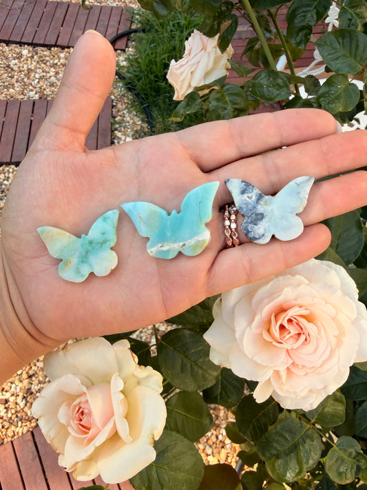 Amazonite Butterly Cabochon