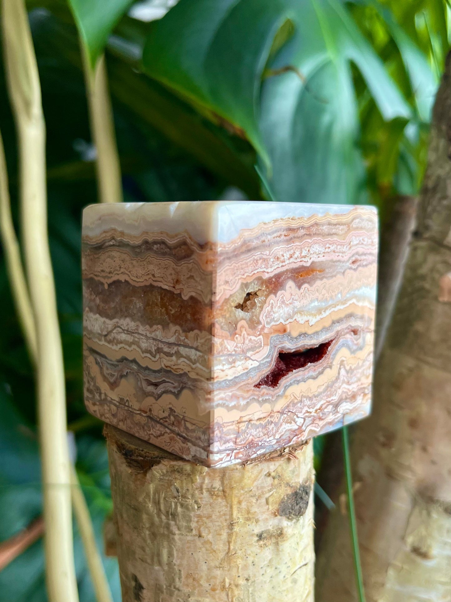 Drusy Crazy Lace Agate Square Block