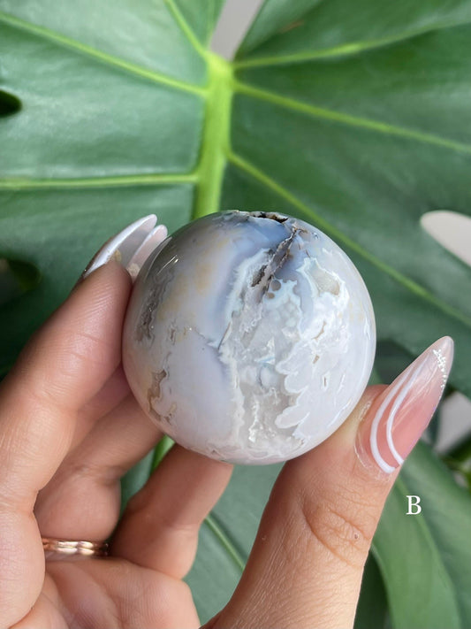 Drusy White Lace Agate Crystal Spheres