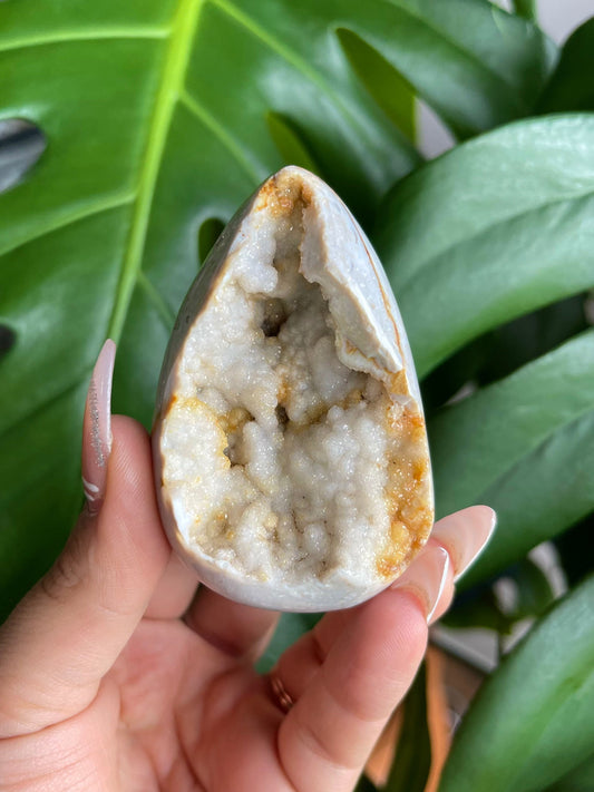 Druzy white Agate crystal egg